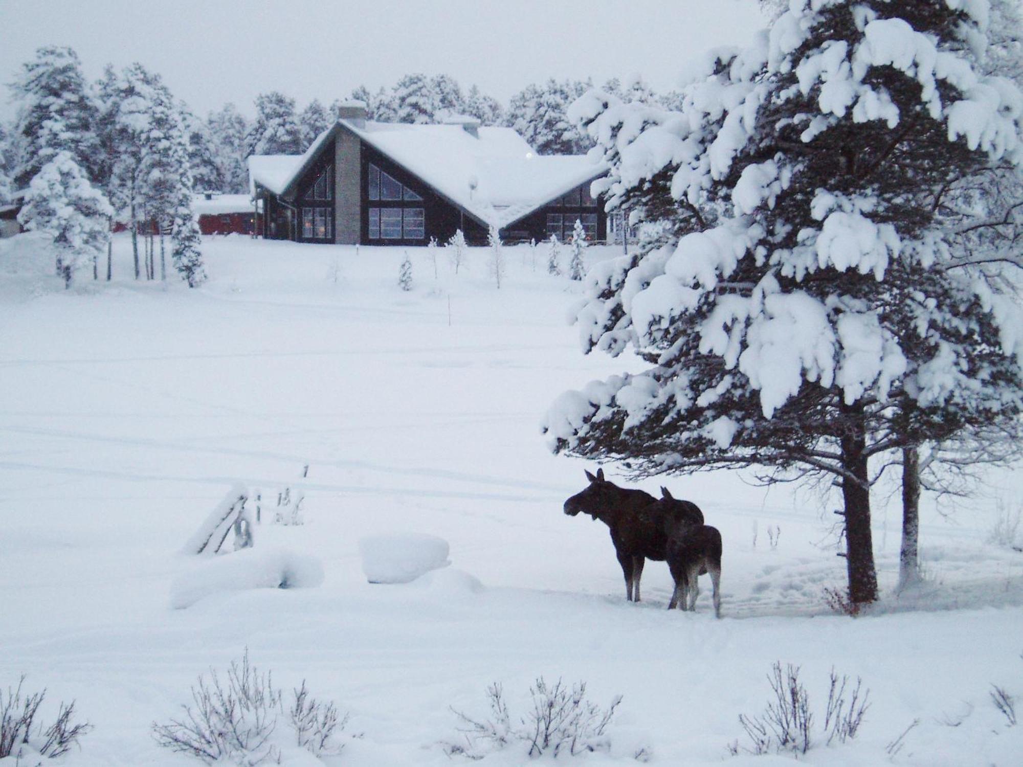 Årrenjarka Mountain Lodge Kvikkjokk Bagian luar foto